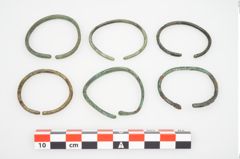 Foto von Bronzering (NHMW-PRAE-026628)